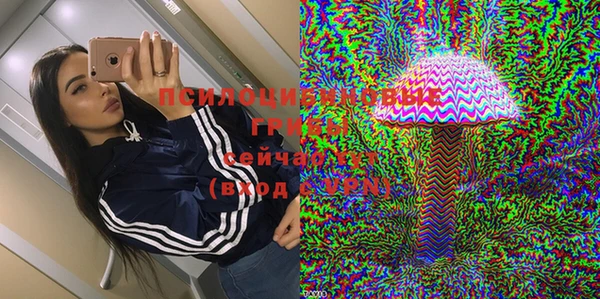 гашик Нязепетровск