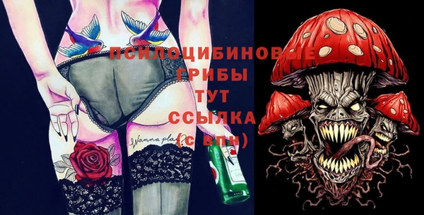 гашик Нязепетровск